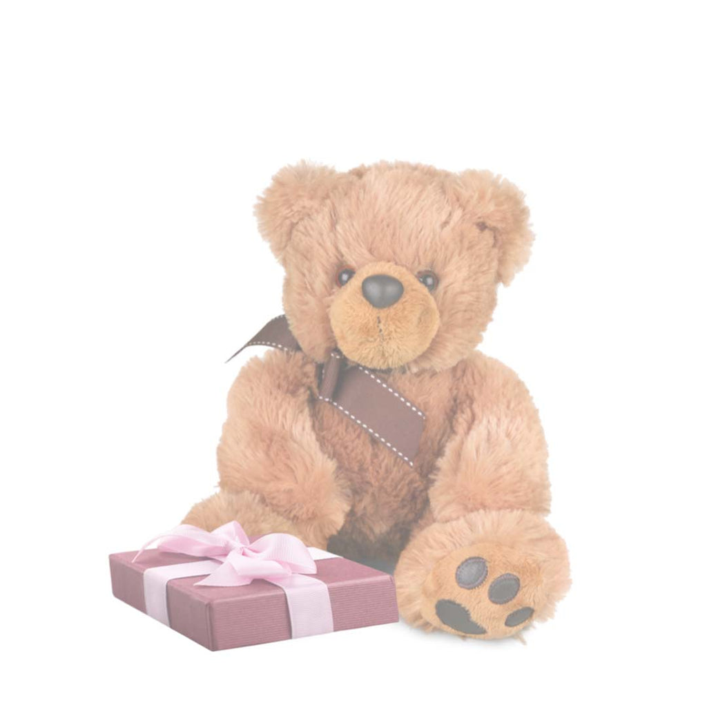 Let's make your gift sweeter with chocolates and top it off with a soft plush. Free delivery in Salem Oregon and nearby areas.