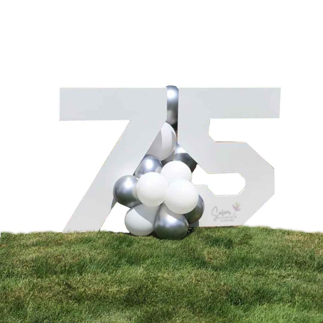  Yard balloon decorations and 3 ft tall white numbers staked in the ground. Salem Oregon and nearby cities.