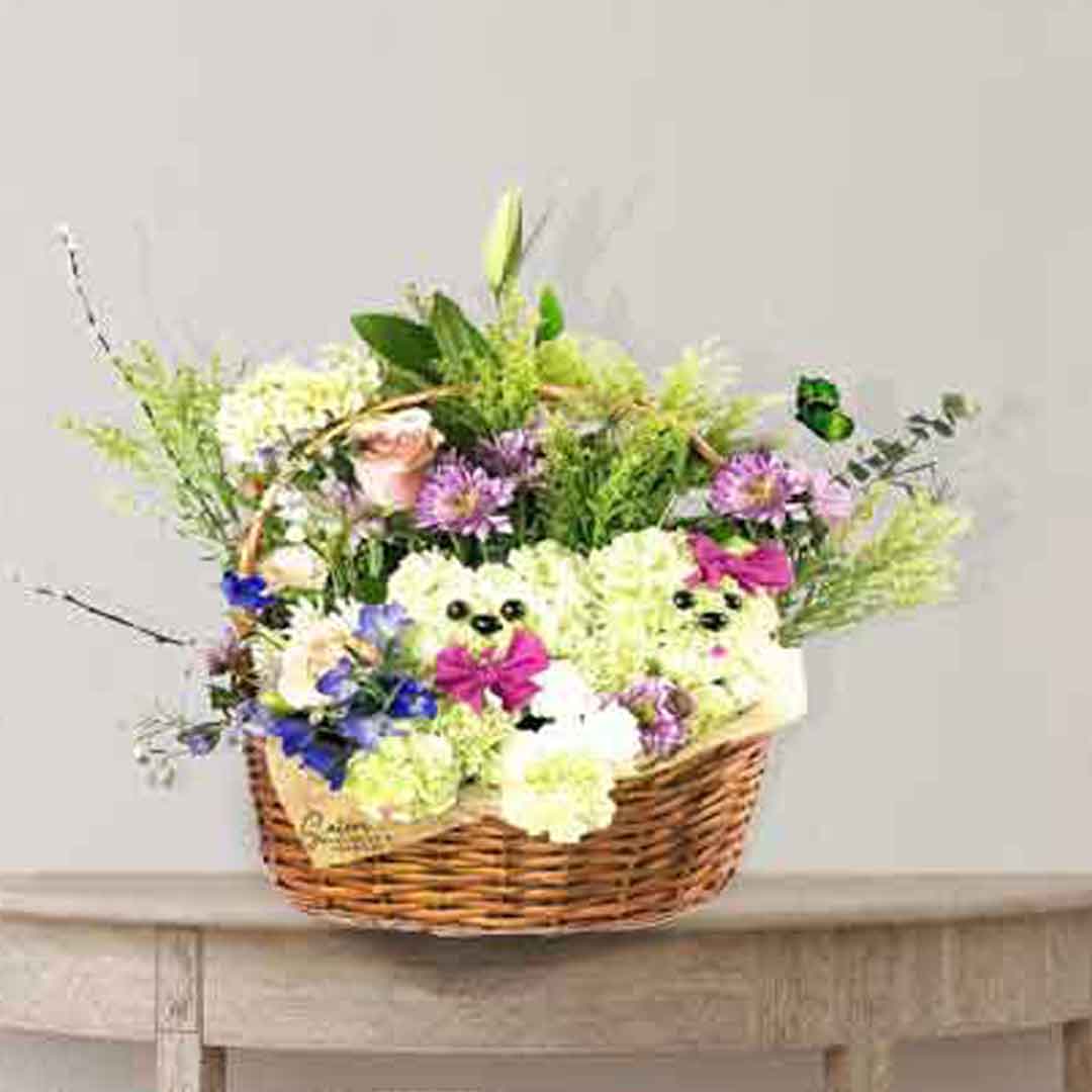 Carnations puppies picking through the flowers in a basket. Flowers delivery in Salem Oregon and nearby cities.