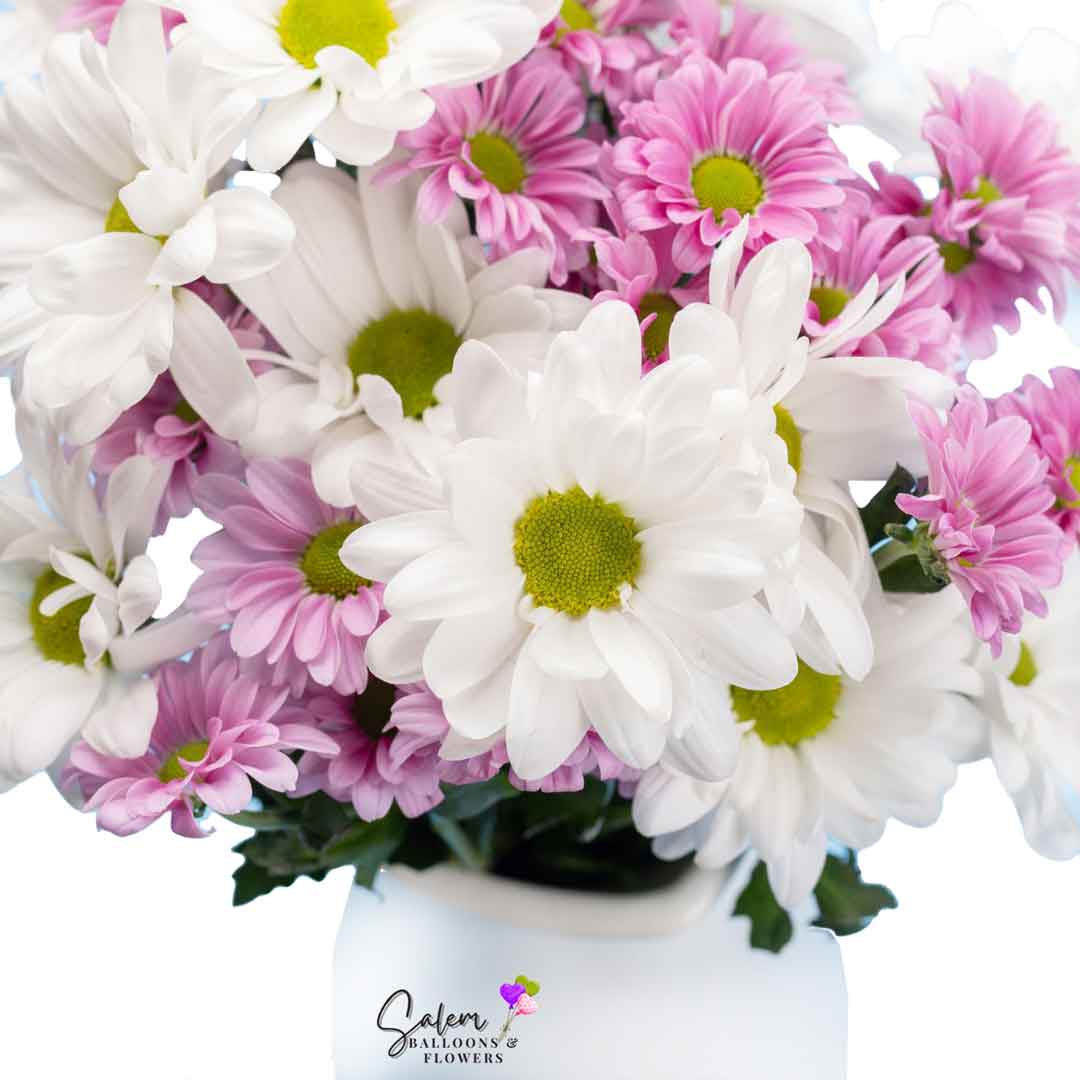 Daisy flower arrangement in a white ceramic vase. Salem Oregon flower delivery under $49.00