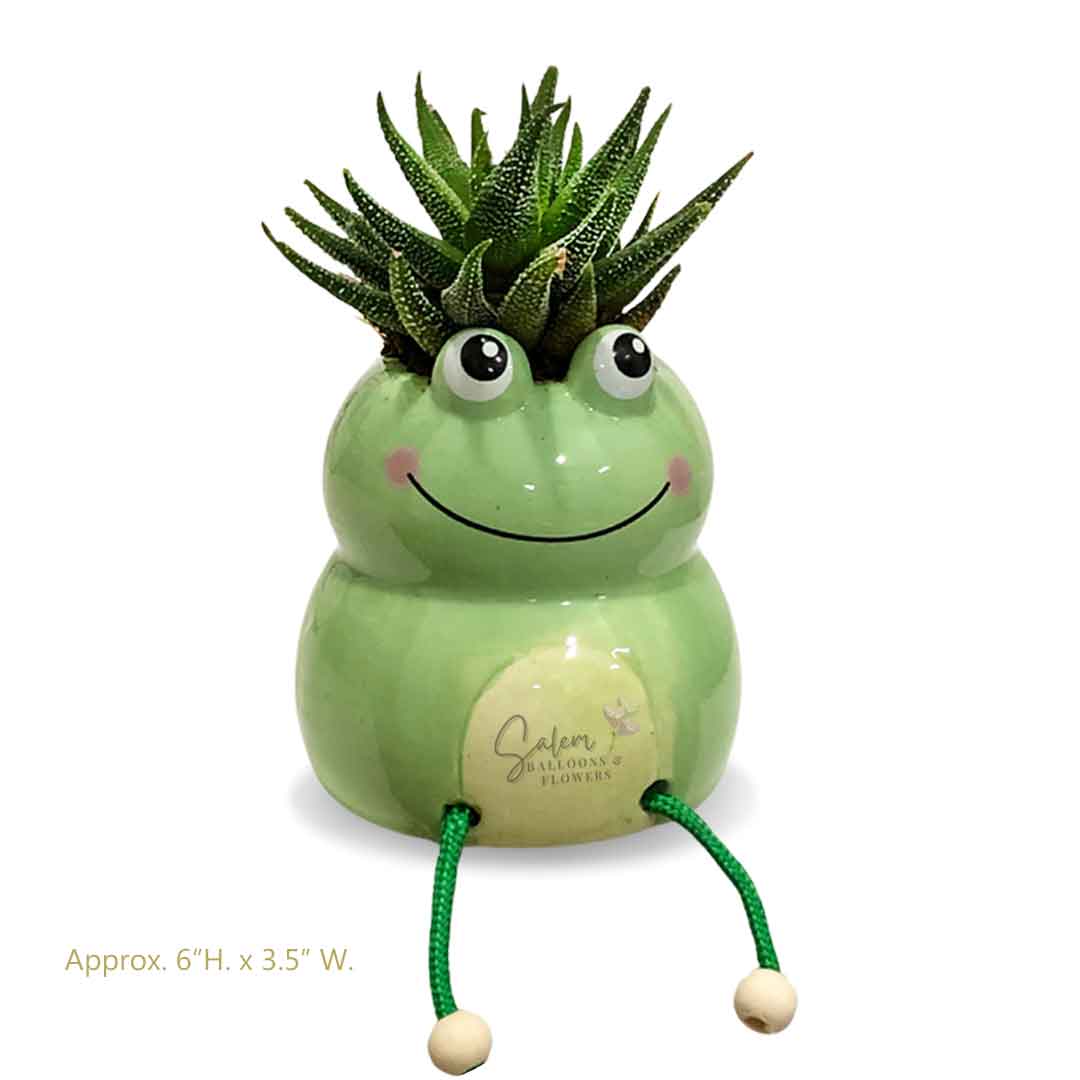 succulent balloons Froggy planter. Salem Oregon. Succulent plants