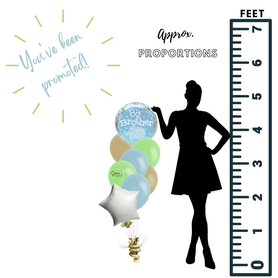 Big brother classic balloon bouquet. Featuring a sweet Mylar balloon with a Big Brother message anchored to a decorated weight. Free delivery in Salem Oregon and nearby areas.